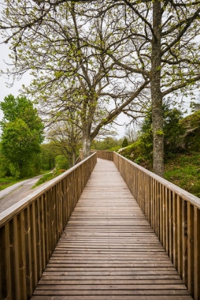 Picture of SWEDEN-BOHUSLAN-TANUMSHEDE-TANUM AREA-WALKWAY TO BRONZE AGE CARVINGS