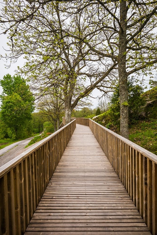 Picture of SWEDEN-BOHUSLAN-TANUMSHEDE-TANUM AREA-WALKWAY TO BRONZE AGE CARVINGS