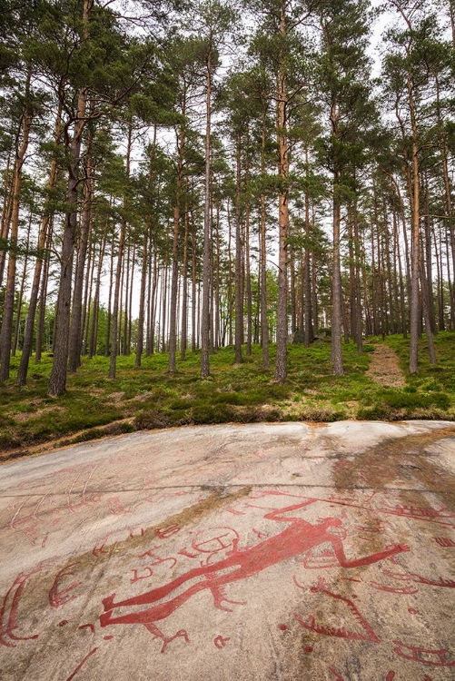 Picture of SWEDEN-BOHUSLAN-TANUMSHEDE-BRONZE AGE CARVING DETAIL OF THE TANUM AREA SHOWING MAN WITH BIG SEXUAL 