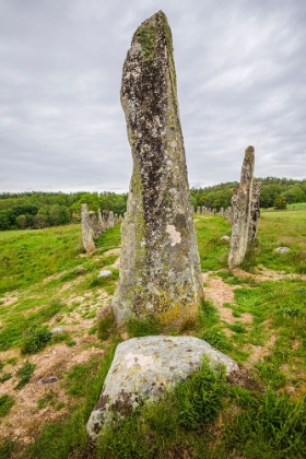 Picture of SWEDEN-BOHUSLAN-BLOMSHOLM-BLOMSHOLMSSKEPPET-STONE SHIP CIRCLE-IRON-AGE BURIAL GROUND-400-600 AD