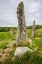Picture of SWEDEN-BOHUSLAN-BLOMSHOLM-BLOMSHOLMSSKEPPET-STONE SHIP CIRCLE-IRON-AGE BURIAL GROUND-400-600 AD