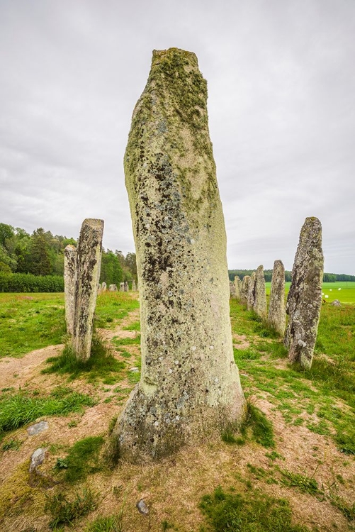 Picture of SWEDEN-BOHUSLAN-BLOMSHOLM-BLOMSHOLMSSKEPPET-STONE SHIP CIRCLE-IRON-AGE BURIAL GROUND-400-600 AD