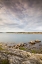 Picture of SWEDEN-BOHUSLAN-SALTO ISLAND-ROCKY COVE SEASCAPE