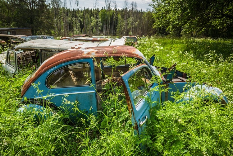 Picture of SWEDEN-VARMLAND-BASTNAS-BASTNAS CAR CEMETERY PUBLIC PARK-ANTIQUE CAR JUNKYARD