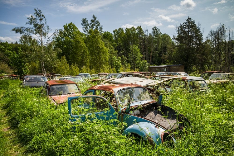 Picture of SWEDEN-VARMLAND-BASTNAS-BASTNAS CAR CEMETERY PUBLIC PARK-ANTIQUE CAR JUNKYARD