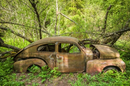 Picture of SWEDEN-VARMLAND-BASTNAS-BASTNAS CAR CEMETERY PUBLIC PARK-ANTIQUE CAR JUNKYARD