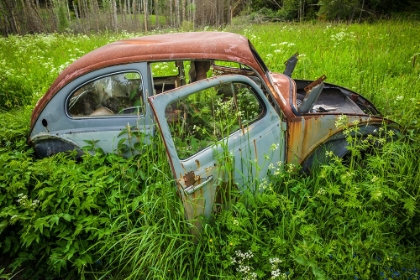 Picture of SWEDEN-VARMLAND-BASTNAS-BASTNAS CAR CEMETERY PUBLIC PARK-ANTIQUE CAR JUNKYARD