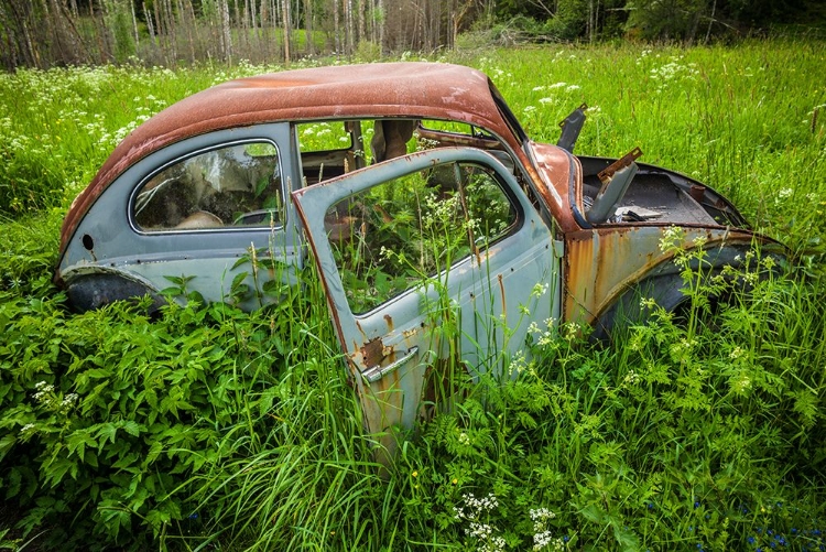 Picture of SWEDEN-VARMLAND-BASTNAS-BASTNAS CAR CEMETERY PUBLIC PARK-ANTIQUE CAR JUNKYARD