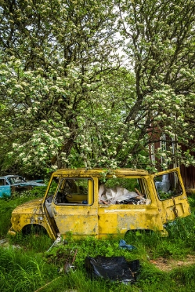 Picture of SWEDEN-VARMLAND-BASTNAS-BASTNAS CAR CEMETERY PUBLIC PARK-ANTIQUE CAR JUNKYARD