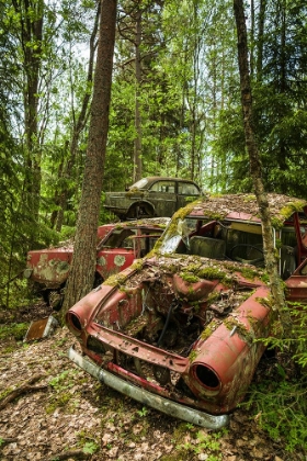 Picture of SWEDEN-VARMLAND-BASTNAS-BASTNAS CAR CEMETERY PUBLIC PARK-ANTIQUE CAR JUNKYARD