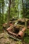 Picture of SWEDEN-VARMLAND-BASTNAS-BASTNAS CAR CEMETERY PUBLIC PARK-ANTIQUE CAR JUNKYARD