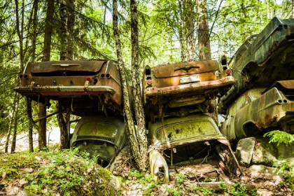 Picture of SWEDEN-VARMLAND-BASTNAS-BASTNAS CAR CEMETERY PUBLIC PARK-ANTIQUE CAR JUNKYARD