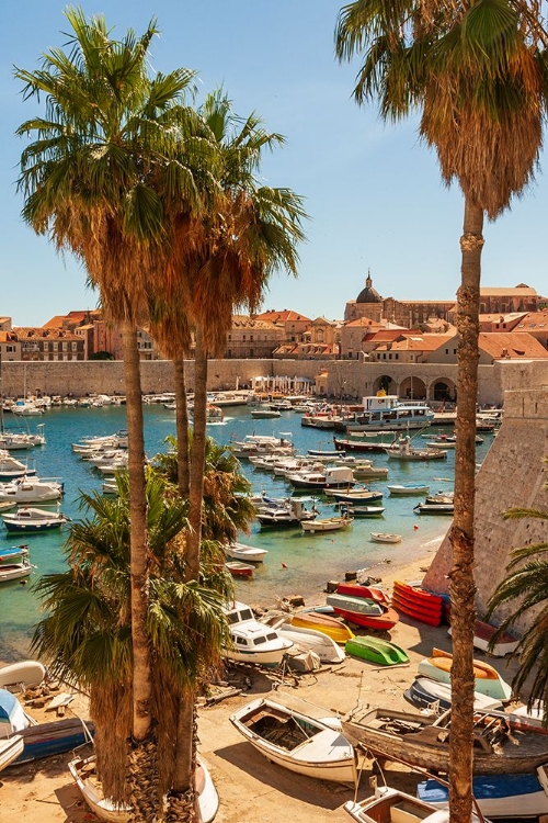 Picture of VIEW OF BOATS IN OLD PORT-DALMATIAN COAST-ADRIATIC SEA-CROATIA-EASTERN EUROPE