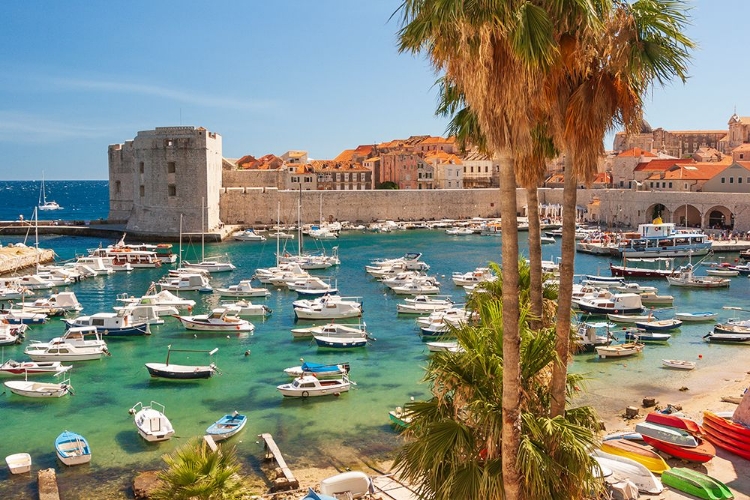 Picture of VIEW OF BOATS IN OLD PORT-DALMATIAN COAST-ADRIATIC SEA-CROATIA-EASTERN EUROPE