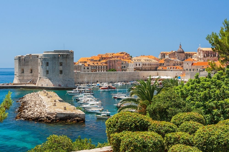 Picture of VIEW OF BOATS IN OLD PORT-DUBROVNIK-DALMATIAN COAST-ADRIATIC SEA-CROATIA-EASTERN EUROPE