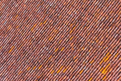 Picture of RED TILE ROOF OF TURAIDA CASTLE-TURAIDA-LATVIA