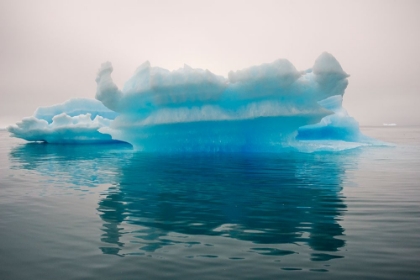 Picture of BLUE ICEBERG IN THE FJORD OF NARSARSUAQ-GREENLAND