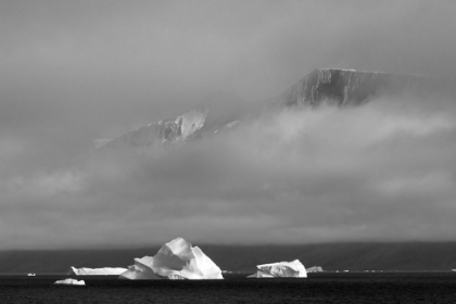 Picture of FLOATING ICEBERG IN THE OCEAN-GREENLAND