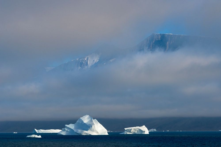Picture of FLOATING ICEBERG IN THE OCEAN-GREENLAND
