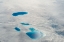 Picture of AERIAL VIEW OF ICE SHEET-GREENLAND