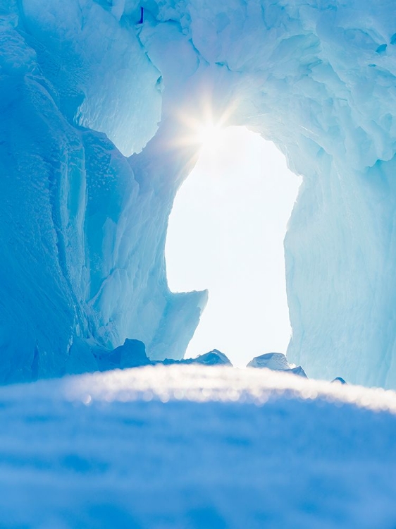 Picture of ICEBERG FROZEN INTO THE SEA ICE OF THE UUMMANNAQ FJORD SYSTEM DURING WINTER-GREENLAND-DANISH TERRIT