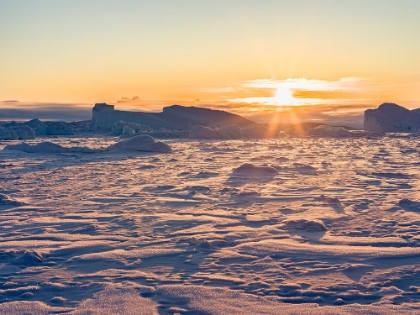 Picture of ICEBERGS FROZEN INTO THE SEA ICE OF THE UUMMANNAQ FJORD SYSTEM DURING WINTER-GREENLAND-DANISH TERRI