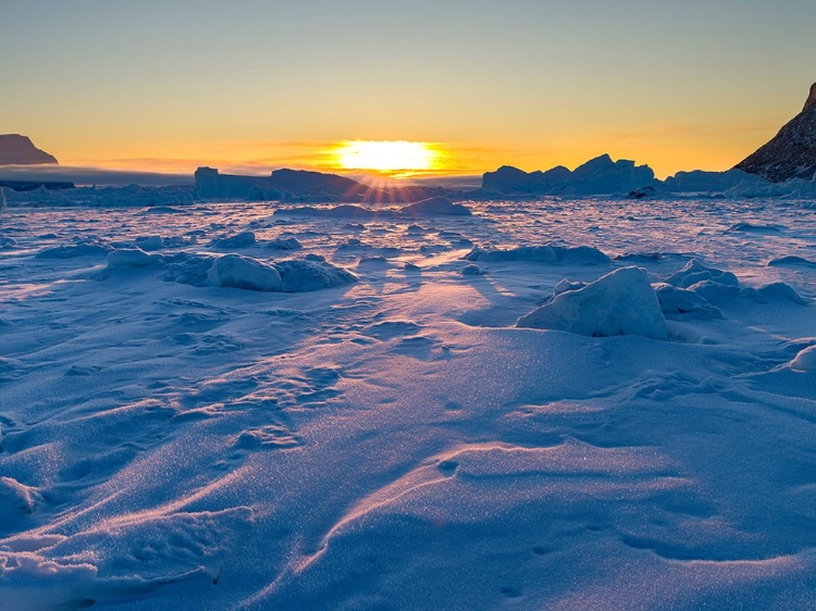 Picture of ICEBERGS FROZEN INTO THE SEA ICE OF THE UUMMANNAQ FJORD SYSTEM DURING WINTER-GREENLAND-DANISH TERRI