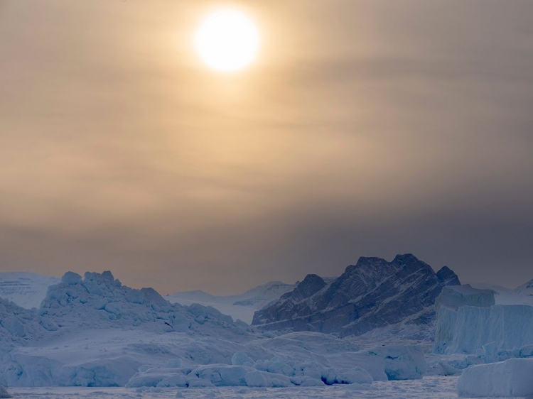 Picture of ICEBERGS FROZEN INTO THE SEA ICE OF THE UUMMANNAQ FJORD SYSTEM DURING WINTER-GREENLAND-DANISH TERRI