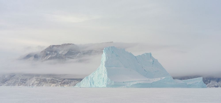 Picture of ICEBERGS IN FRONT OF STOREN ISLAND-FROZEN INTO THE SEA ICE OF THE UUMMANNAQ FJORD SYSTEM DURING WIN