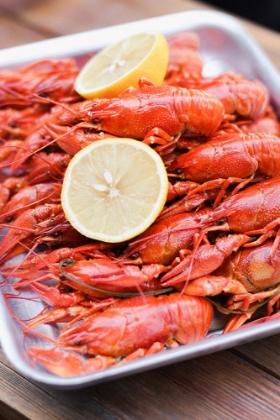Picture of CRAYFISH CLOSE-UP