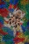 Picture of MEXICAN REDKNEE TARANTULA ON COLORFUL FEATHERS