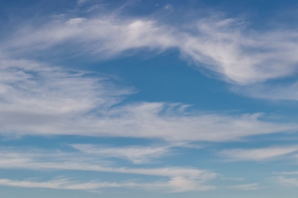 Picture of CUMULUS CLOUDS IN BLUE SKY