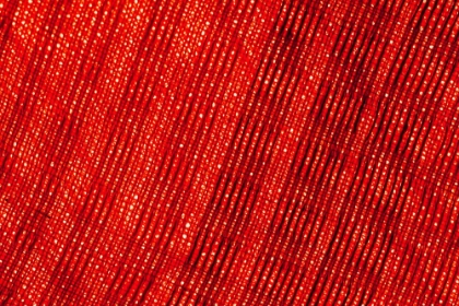 Picture of COLORFUL FABRIC DETAIL