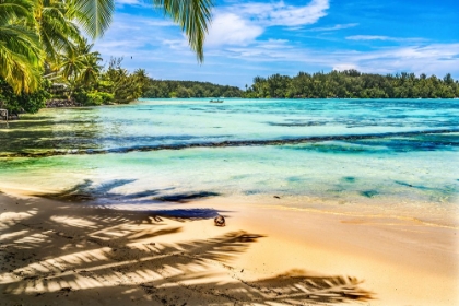 Picture of COLORFUL HAURU POINT BEACH PALM TREES-MOOREA-TAHITI-FRENCH POLYNESIA-DIFFERENT BLUE COLORS FROM LAG