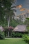 Picture of BELIZE-CENTRAL AMERICA-CHAN CHICH ECOLODGE IN THE WESTERN BELIZE JUNGLE