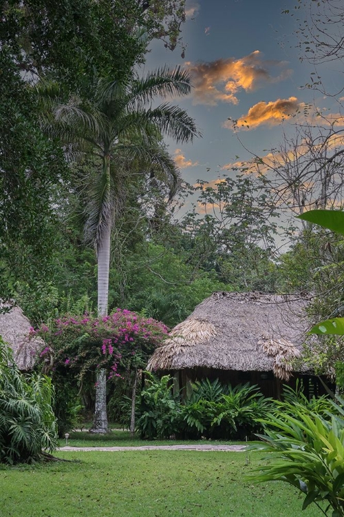 Picture of BELIZE-CENTRAL AMERICA-CHAN CHICH ECOLODGE IN THE WESTERN BELIZE JUNGLE