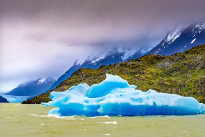 Picture of BLUE ICEBERG GREY LAKE-TORRES DEL PAINE NATIONAL PARK-PATAGONIA-CHILE-ICEBERG IS FROM GREY GLACIER