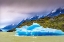 Picture of BLUE ICEBERG GREY LAKE-TORRES DEL PAINE NATIONAL PARK-PATAGONIA-CHILE-ICEBERG IS FROM GREY GLACIER