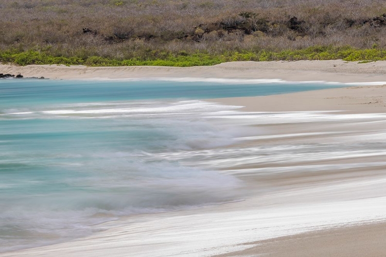 Picture of SURF PATTERN WASHING UP ON WHITE SANDY BEACH-ESPANOLA ISLAND-GALAPAGOS ISLANDS-ECUADOR