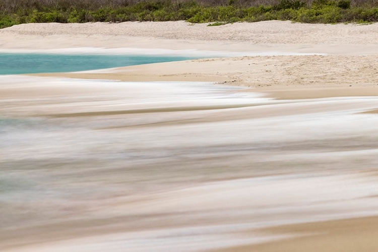 Picture of SURF PATTERN WASHING UP ON WHITE SANDY BEACH-ESPANOLA ISLAND-GALAPAGOS ISLANDS-ECUADOR