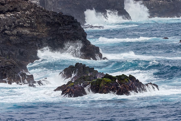 Picture of WAVES CRASHING OVER LAVA ROCKS ON SHORELINE OF ESPANOLA ISLAND-GALAPAGOS ISLANDS-ECUADOR