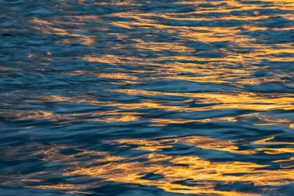 Picture of SUNSET LIGHT ON WATERS OFF SANTA CRUZ ISLAND-GALAPAGOS ISLANDS-ECUADOR