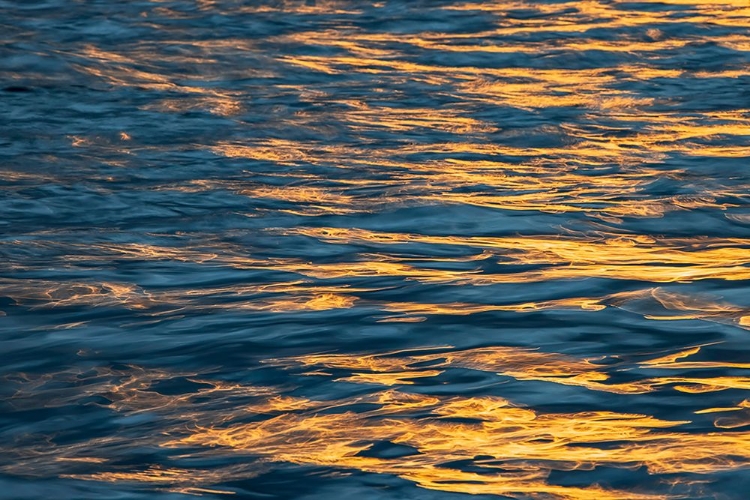 Picture of SUNSET LIGHT ON WATERS OFF SANTA CRUZ ISLAND-GALAPAGOS ISLANDS-ECUADOR