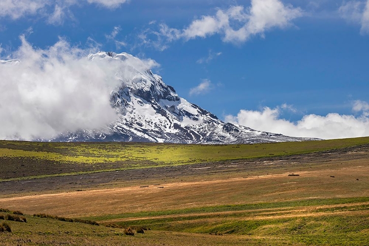 Picture of ANTISANA VOLCANO-ANTISANA NATIONAL PARK-ECUADOR