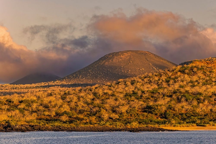 Picture of SANTIAGO ISLAND-GALAPAGOS ISLANDS-ECUADOR