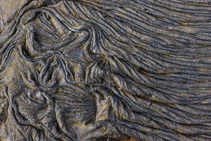 Picture of RECENT PAHOEHOE LAVA FLOW-SULLIVAN BAY-SANTIAGO ISLAND-GALAPAGOS ISLANDS-ECUADOR