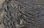 Picture of RECENT PAHOEHOE LAVA FLOW-SULLIVAN BAY-SANTIAGO ISLAND-GALAPAGOS ISLANDS-ECUADOR