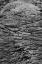 Picture of RECENT PAHOEHOE LAVA FLOW-SULLIVAN BAY-SANTIAGO ISLAND-GALAPAGOS ISLANDS-ECUADOR