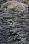 Picture of RECENT PAHOEHOE LAVA FLOW-SULLIVAN BAY-SANTIAGO ISLAND-GALAPAGOS ISLANDS-ECUADOR