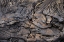 Picture of RECENT PAHOEHOE LAVA FLOW-SULLIVAN BAY-SANTIAGO ISLAND-GALAPAGOS ISLANDS-ECUADOR